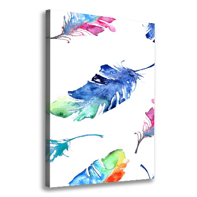 Canvas print Colorful feathers