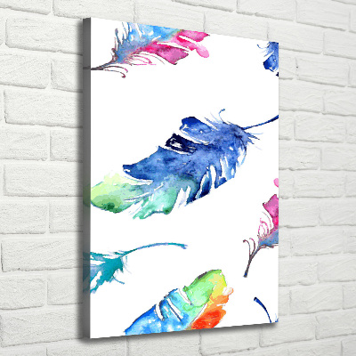 Canvas print Colorful feathers