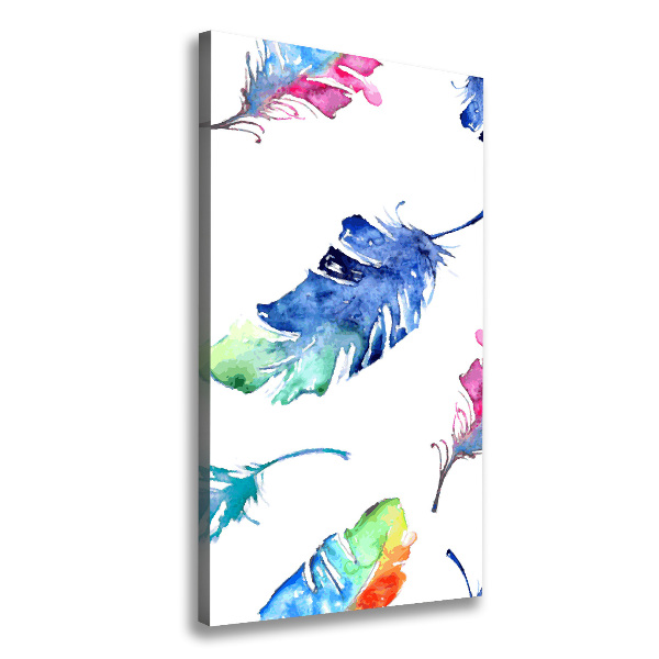 Canvas print Colorful feathers