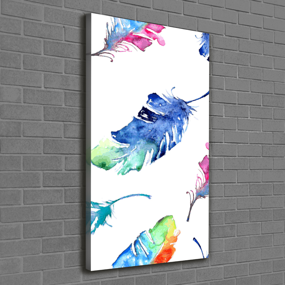 Canvas print Colorful feathers