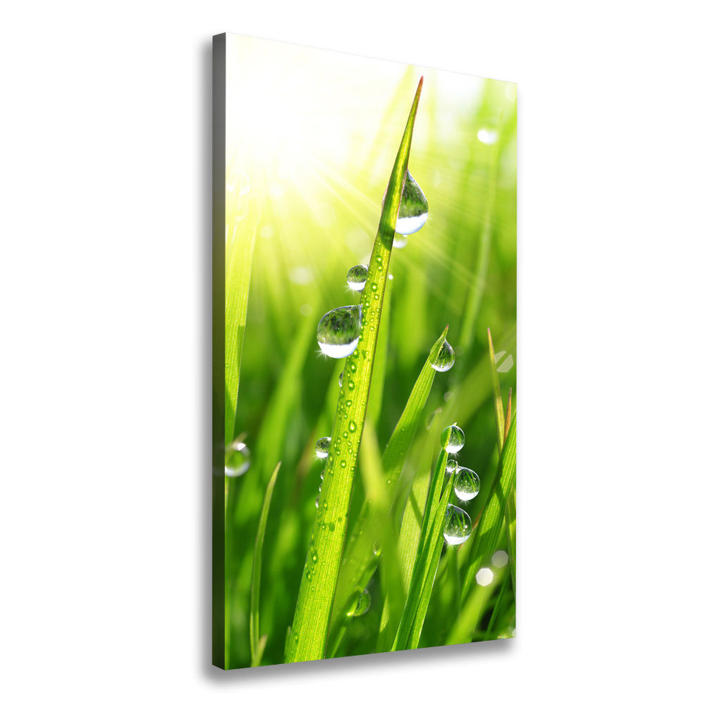 Canvas print Blade of grass