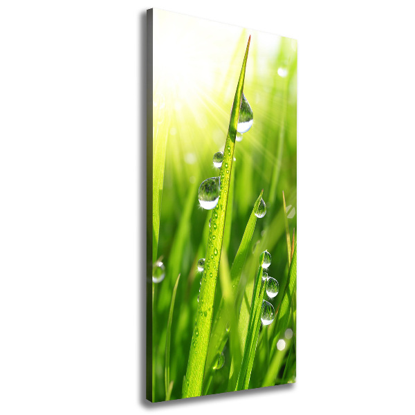 Canvas print Blade of grass