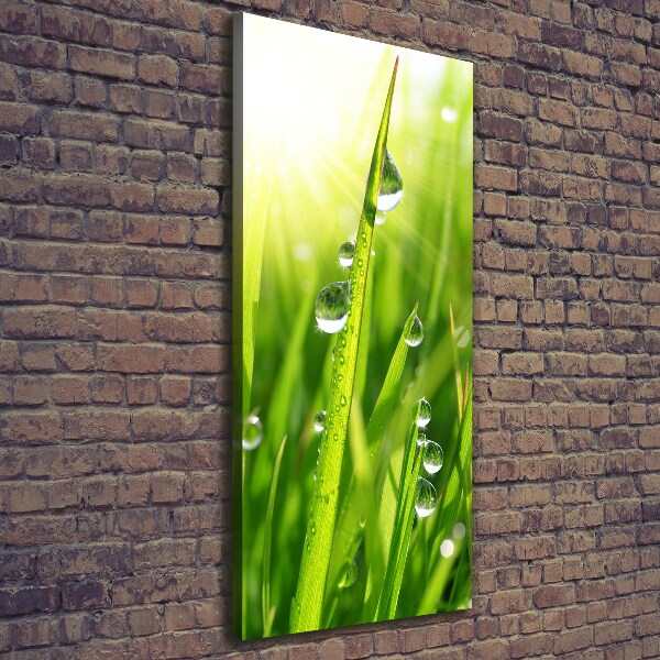 Canvas print Blade of grass