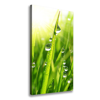 Canvas print Blade of grass