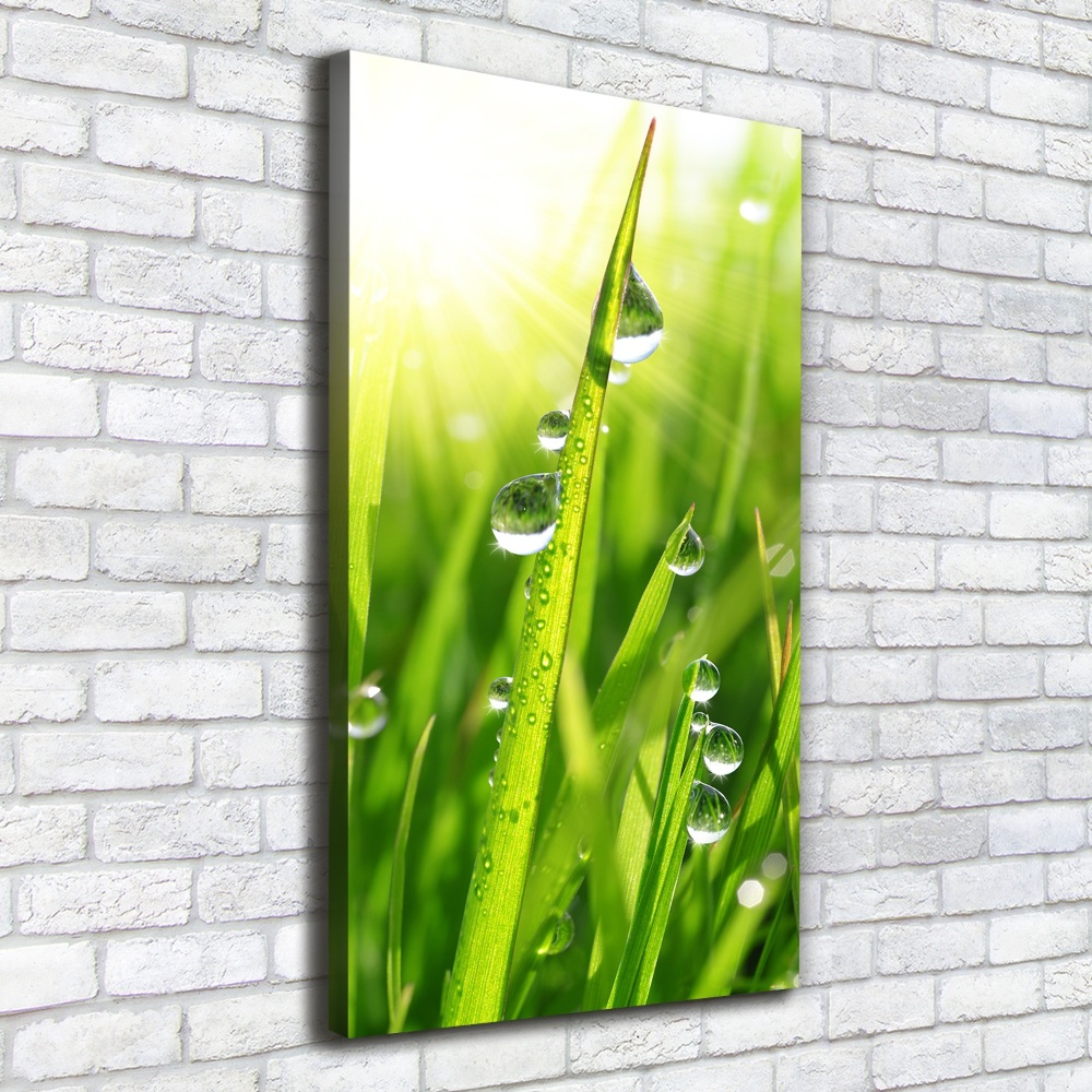 Canvas print Blade of grass