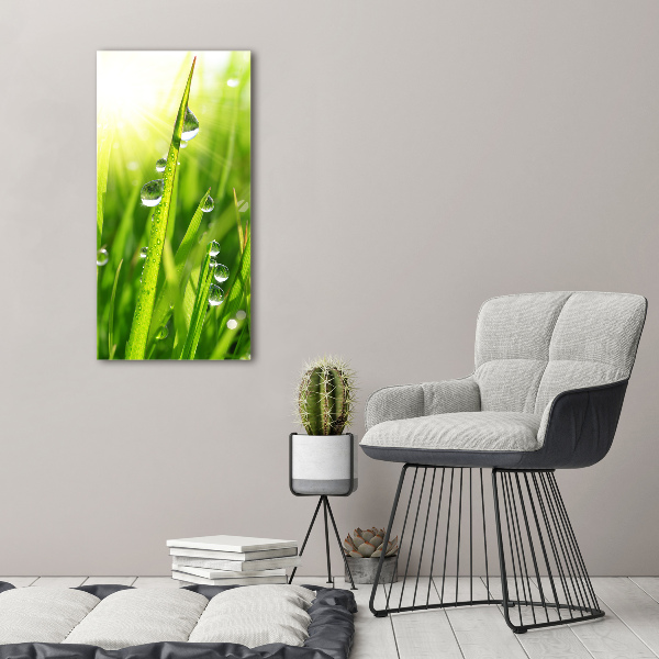 Canvas print Blade of grass