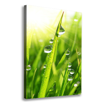 Canvas print Blade of grass