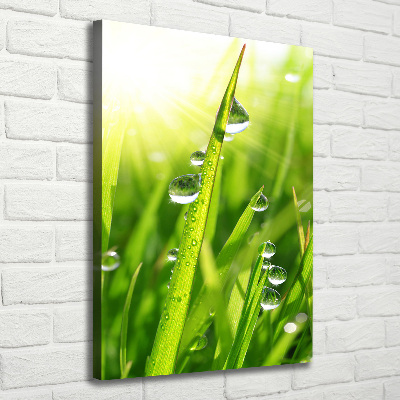 Canvas print Blade of grass