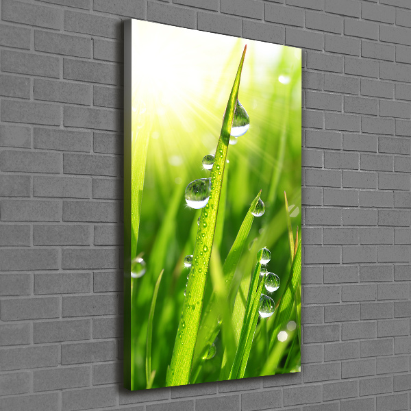 Canvas print Blade of grass