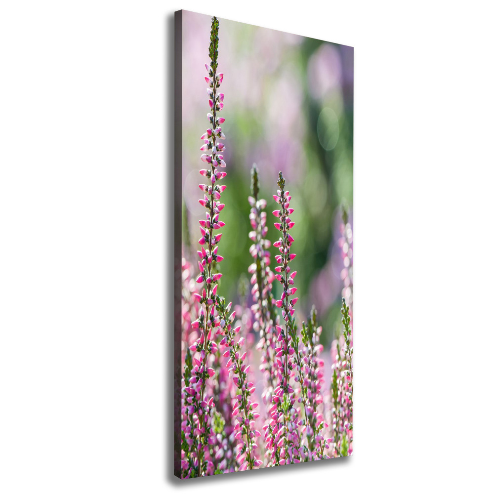 Canvas wall art Heather