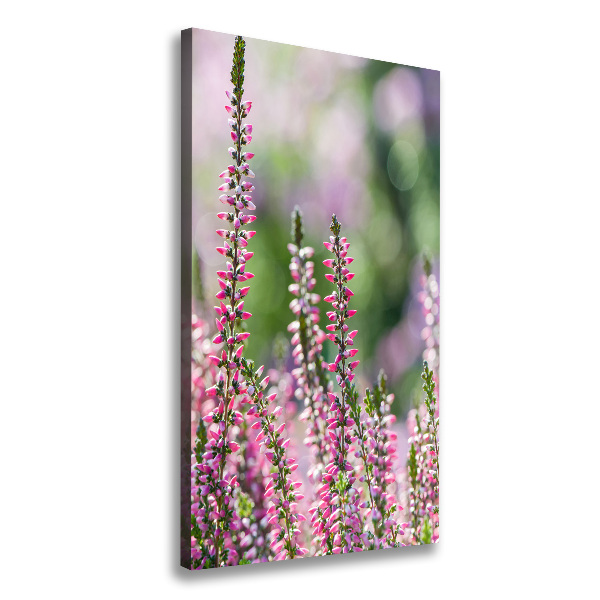 Canvas wall art Heather