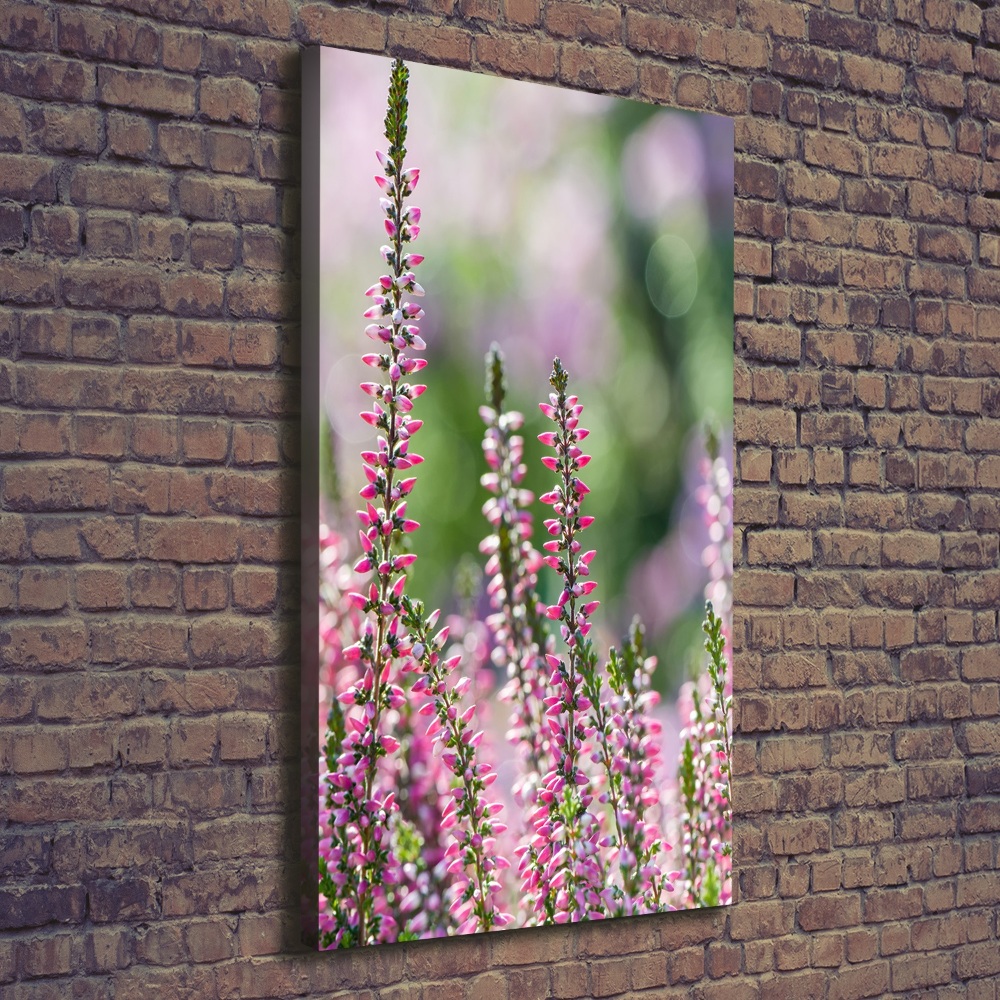 Canvas wall art Heather