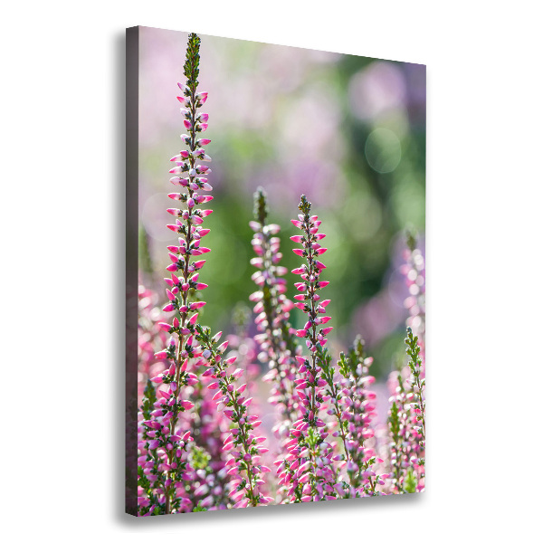 Canvas wall art Heather