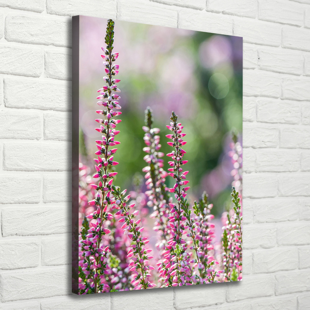 Canvas wall art Heather