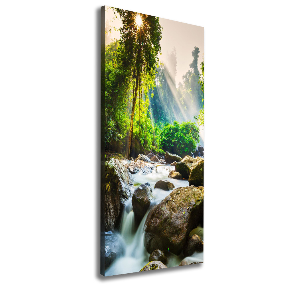 Canvas wall art Waterfall in the forest