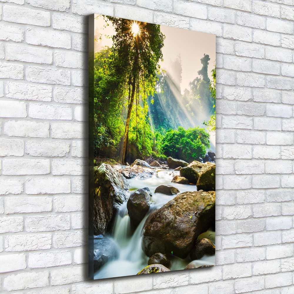 Canvas wall art Waterfall in the forest