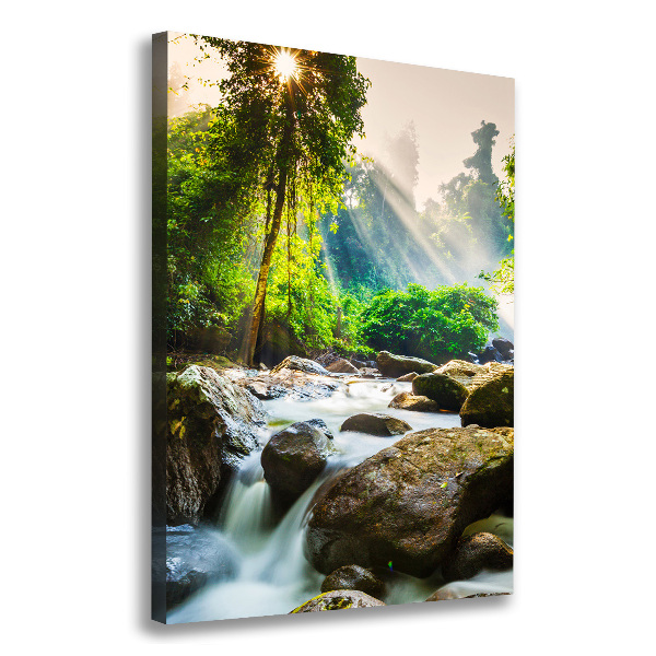 Canvas wall art Waterfall in the forest