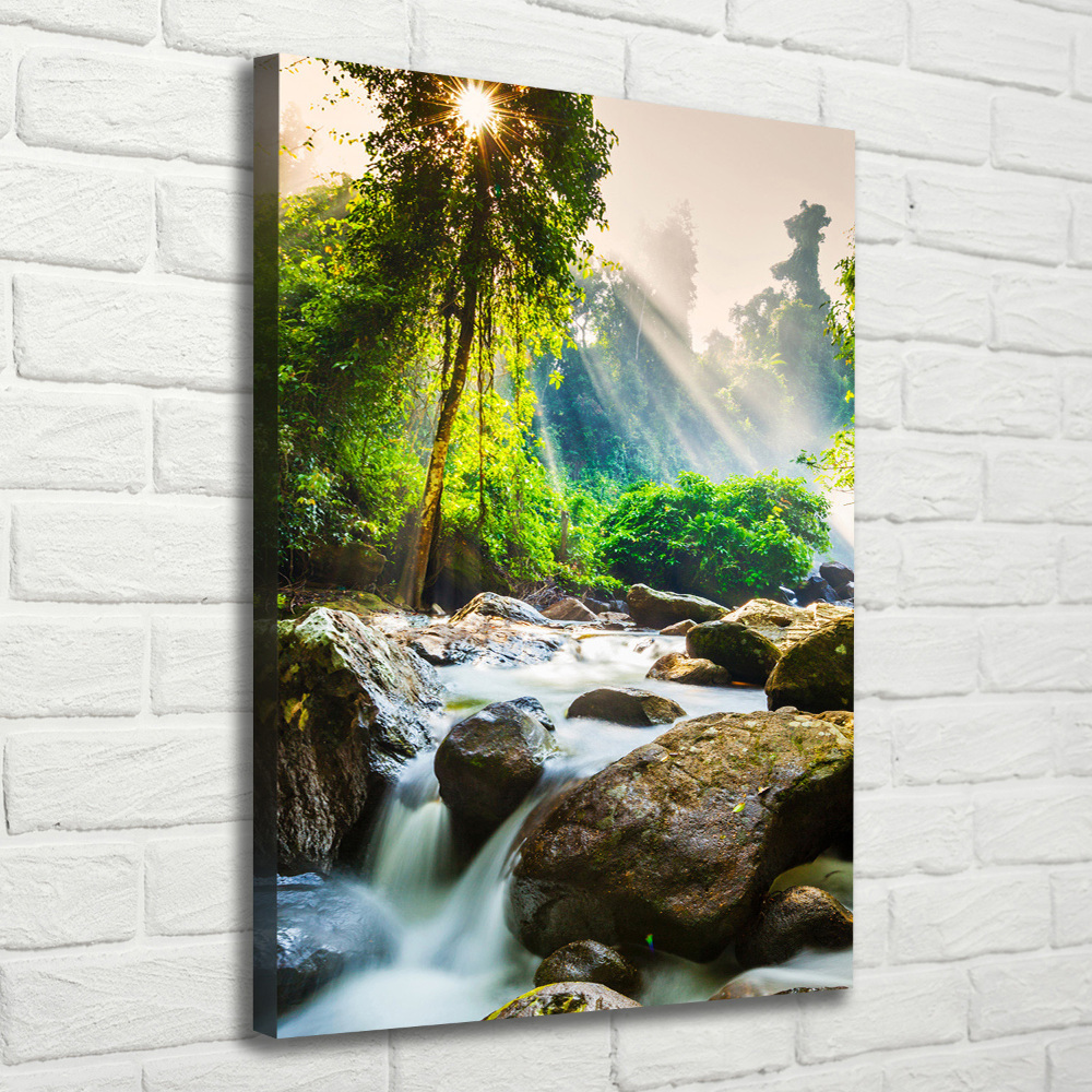 Canvas wall art Waterfall in the forest