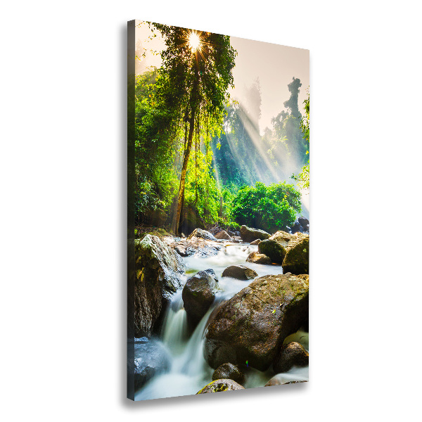 Canvas wall art Waterfall in the forest