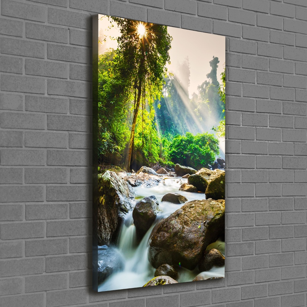 Canvas wall art Waterfall in the forest