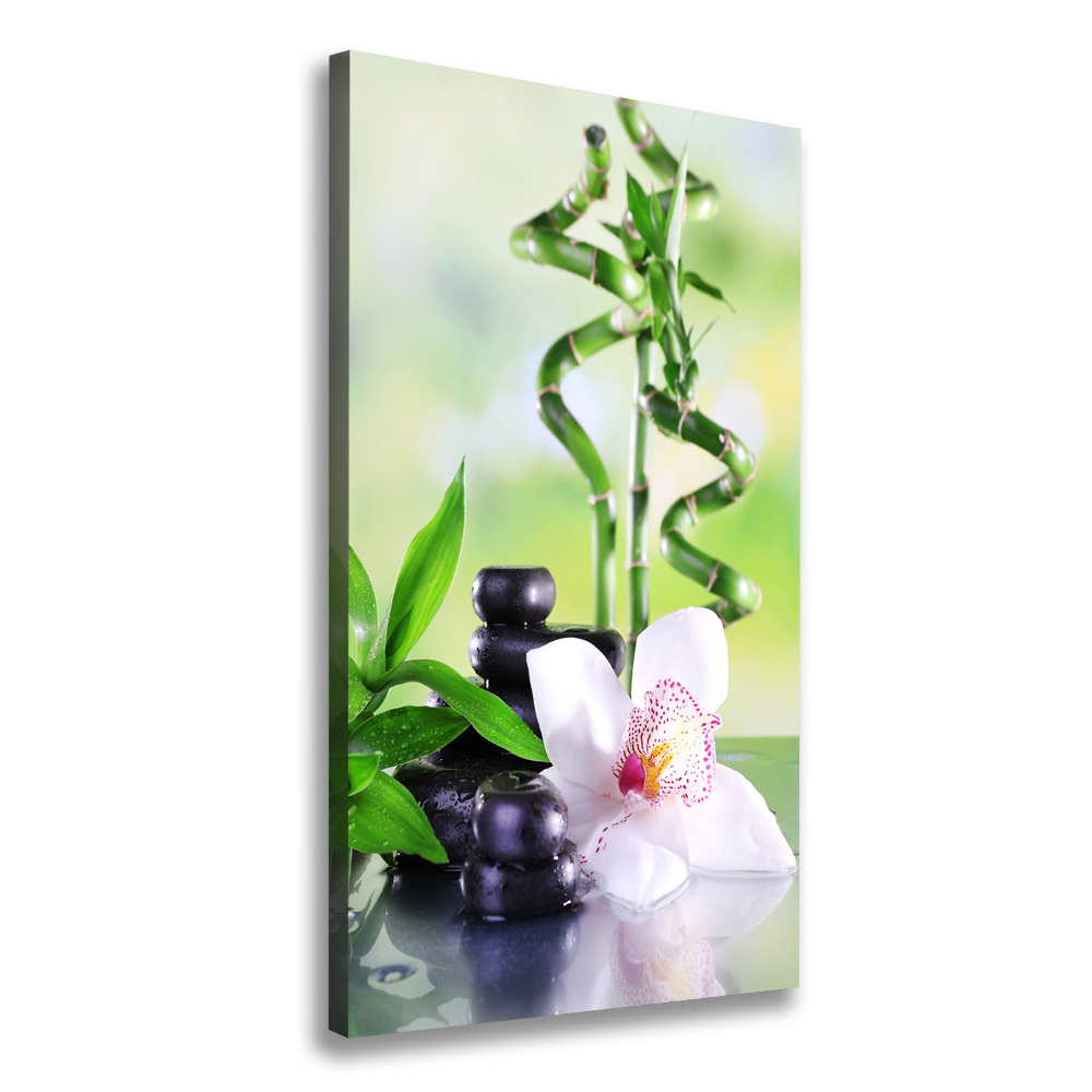 Canvas wall art Bamboo