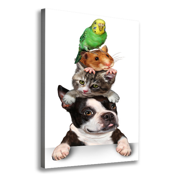 Wall art canvas large Pets