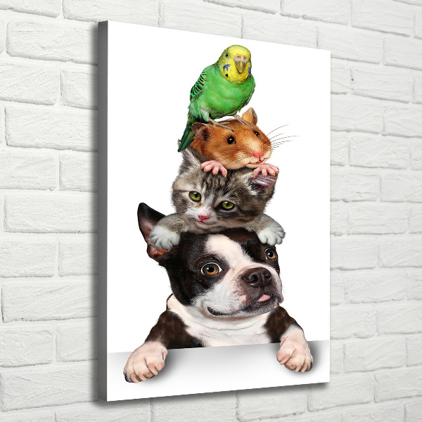 Wall art canvas large Pets