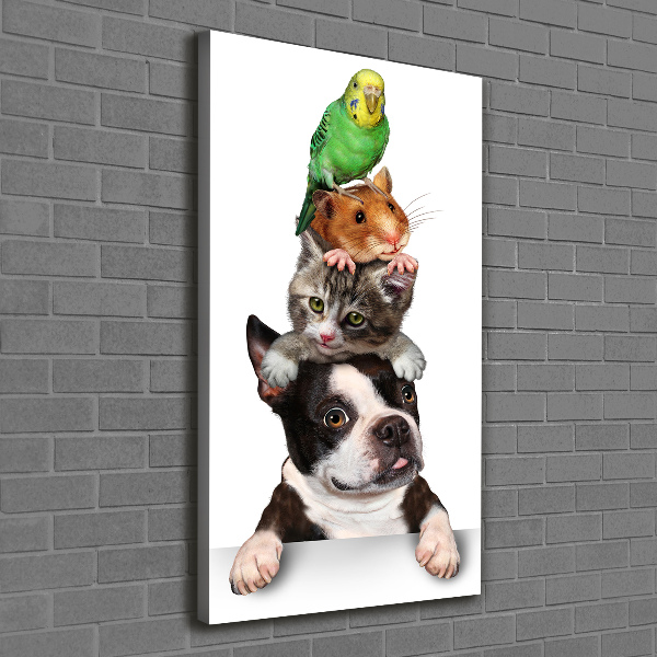 Wall art canvas large Pets