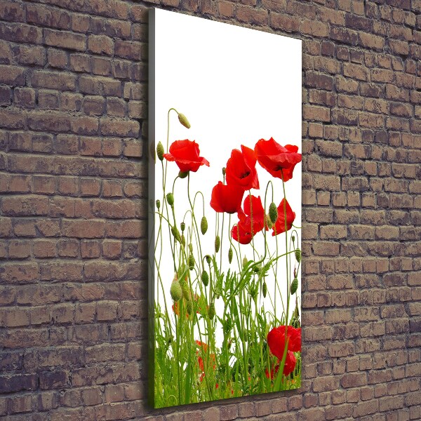 Canvas wall art Field poppies