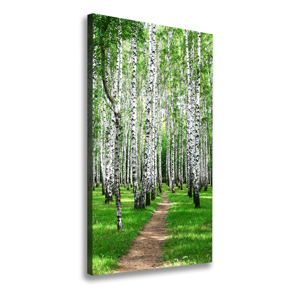 Canvas wall art Birch forest