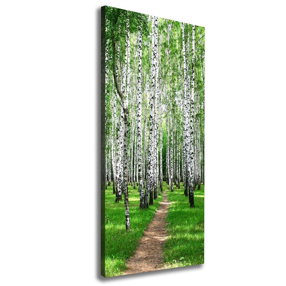 Canvas wall art Birch forest