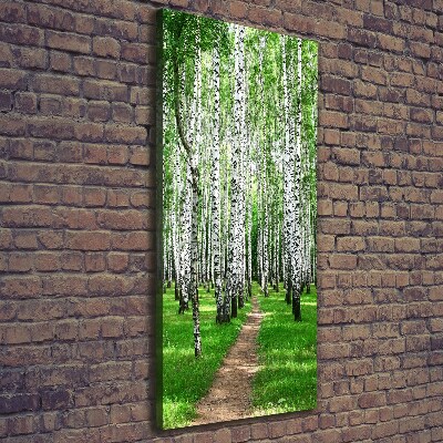 Canvas wall art Birch forest