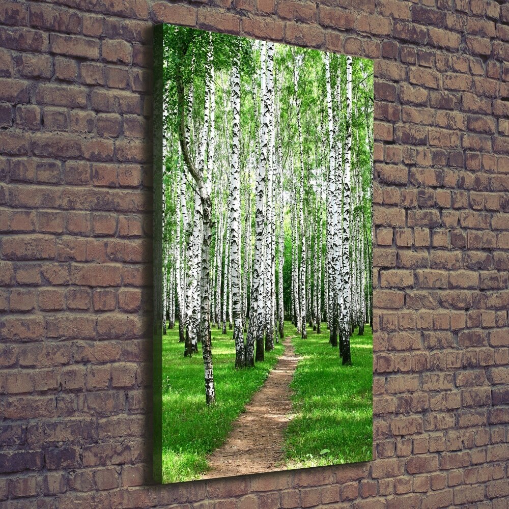 Canvas wall art Birch forest