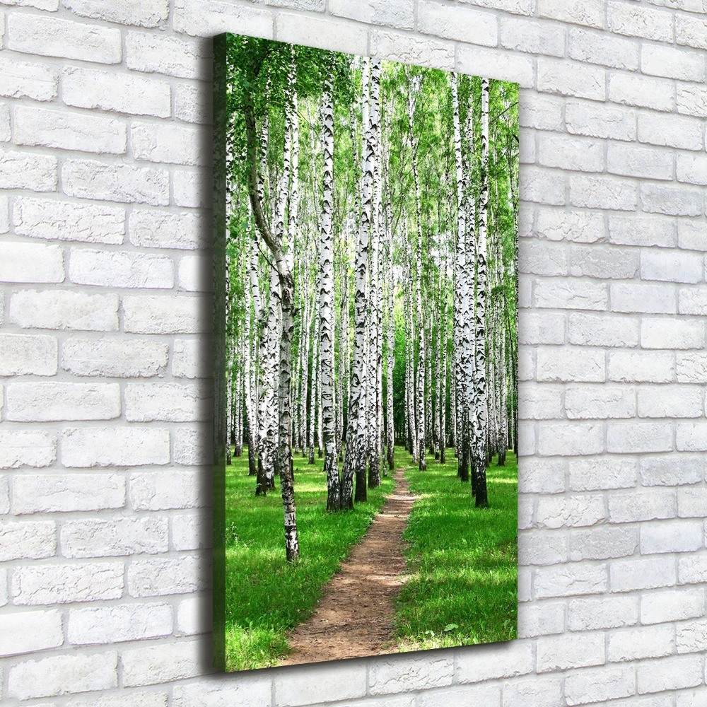 Canvas wall art Birch forest