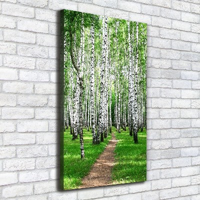 Canvas wall art Birch forest