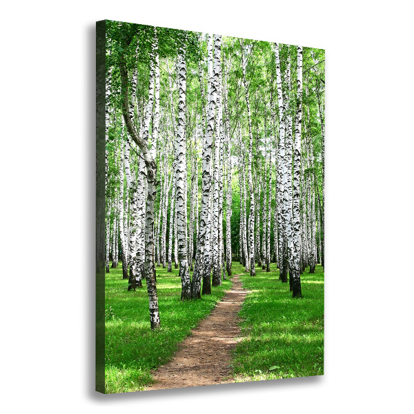 Canvas wall art Birch forest