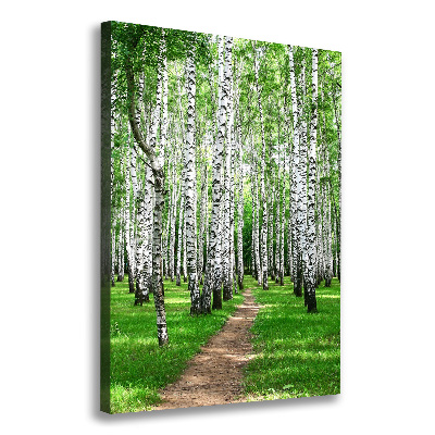 Canvas wall art Birch forest