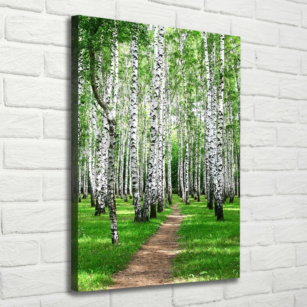 Canvas wall art Birch forest