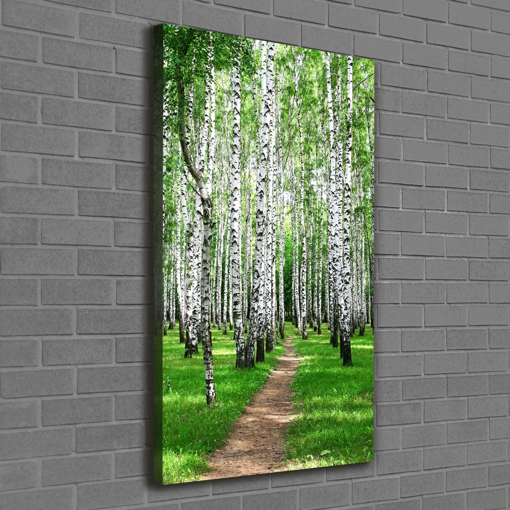 Canvas wall art Birch forest