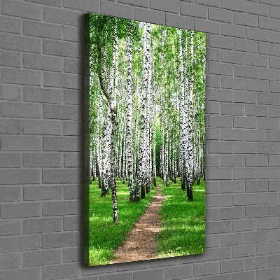 Canvas wall art Birch forest