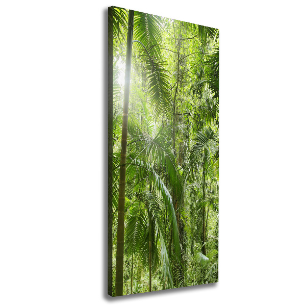 Canvas wall art the rainforest