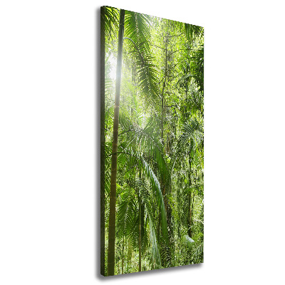 Canvas wall art the rainforest