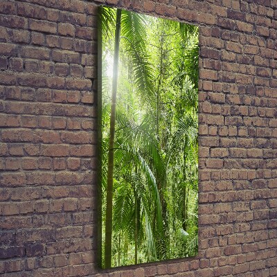 Canvas wall art the rainforest