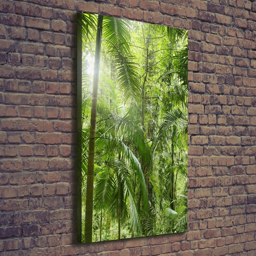 Canvas wall art the rainforest