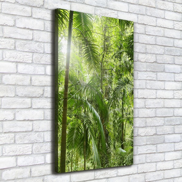 Canvas wall art the rainforest