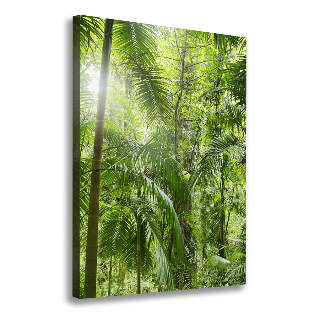 Canvas wall art the rainforest