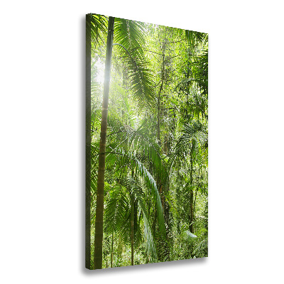 Canvas wall art the rainforest