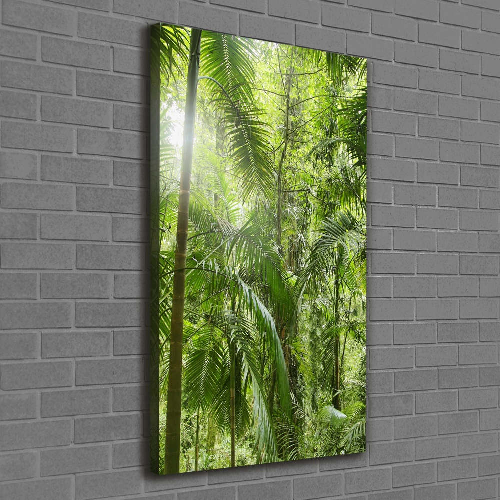 Canvas wall art the rainforest