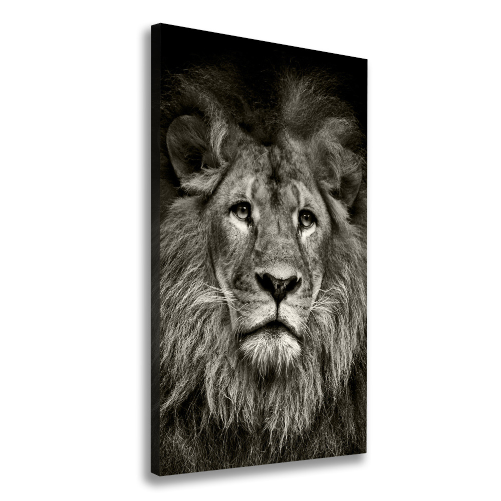 Large canvas wall art Lion