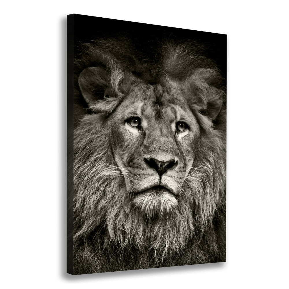 Large canvas wall art Lion